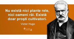 Citat-Victor-Hugo.fw_2.jpg